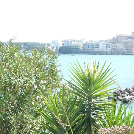 Mare E Spiagge Mon